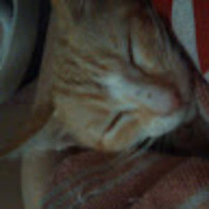 Meet your Posher, Adecyn